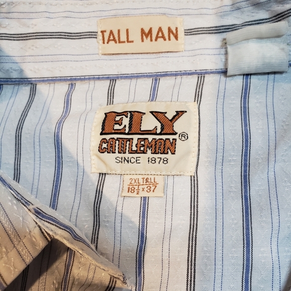 Ely Cattleman Light Blue Stripe Western Rodeo Pearl Snap Shirt 2XL Tall - Picture 4 of 4